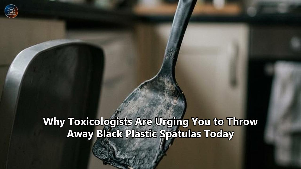 Why Toxicologists Are Urging You to Throw Away Black Plastic Spatulas Today