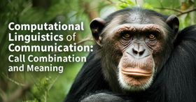 Computational Linguistics of Chimpanzee Communication: Call Combination and Meaning