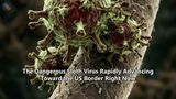 The Dangerous Sloth Virus Rapidly Advancing Toward the US Border Right Now